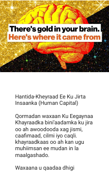 Hantida-Khayraad Ee Kujirta Insaanka(Human Capital).pdf